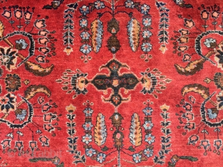 Mint 4'x 6' Antique Sarouk.                            