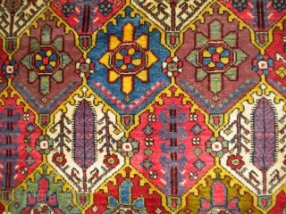 Here is a gorgeous 1920's Bakhtiari with beautiful colors in the oversized 4'x6' size range.  The size is 4'4"x6'5".  Look at these colors!  Great rug!  Thanks!   