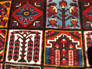 Here is a thick piled, squarish Bakhtiari from the 1940's, with beautiful colors, tip top shape.  The size is 5'3"x6'4".  Nice rug!  Thanks!       