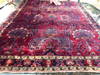 Rug-pickers find: A 1920's to 30's 2'6"x4'9" sarouq in pretty good condition.  Mohajeran like weave and wool quality.  Beautiful.            