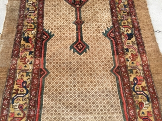 1920’s or older NW persian runner measuring 12’9”x 4’ with some low area’s, some moth grazing, just been cleaned, pictures were taken on a cloudy day, Colors really pop in the sun. 