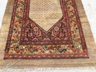 1920’s or older NW persian runner measuring 12’9”x 4’ with some low area’s, some moth grazing, just been cleaned, pictures were taken on a cloudy day, Colors really pop in the sun. 