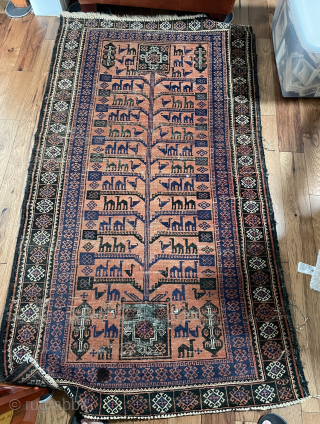 Old Baluchi, missing at both ends, some rough binding and scattered wear plus a stain. moraad65@yahoo.com 
208-433-0312                