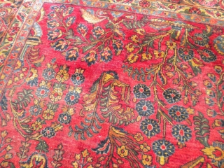 Fresh from an estate as found: A 1920's Persian sarouq, size is 11'10"x8'10".  It has good wool, good weave, good colors, but unfortunately, has wear almost down to the foundation in  ...