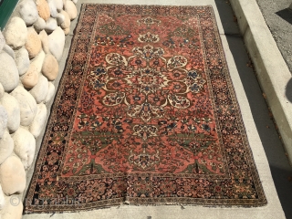 As found: Late 1800's Persian Ferahan measuring 4'x 6'2" with low even pile, little loss at the ends, very finely woven, thanks for looking.         