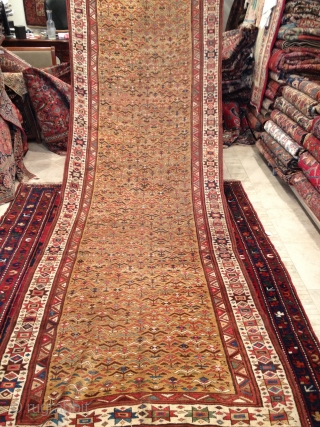 ANTIQUE Northwest PERSIA RUNNER 

CIRCA 1850 
VER GOOD CONDTION EXCAPT ONE SMALL REPAIR AS YOU CAN SEE AT LAST PICTURE
SIZE   1.24 X 3.91 CM       