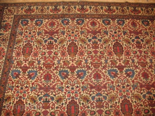 Antique Dabir Kashan Circa 1900
Very good condition
Size :  212 X  310
ITEM NO. 58                  