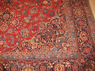 KASHAN 
GOOD CONDITION
75 years
SIZE : 259 X 366
ITEM NO. 76
                       