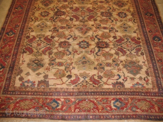 WHITE MAHAL
CIRCA 1900
VERY GOOD CONDITION
SIZE : 245 X 345
ITEM NO. 106                      