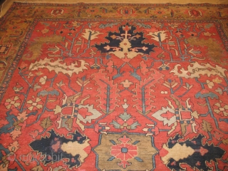 ANTIQUE  SERAPI
CIRCA 1900
PERFECT CONDITIION
SIZE : 355 X 425
ITEM NO. 110                      