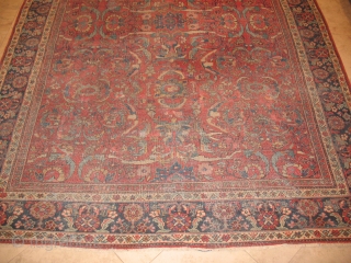 Mahal
SIZE : 235 X 330
ITEM NO.116
                           