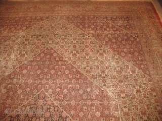 TABRIZ HAGI GALILI
GOOD CONDITION

SIZE : 276 X 390
ITEM NO. 117                       