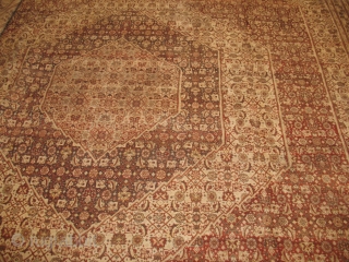 TABRIZ HAGI GALILI
PERFECT CONDITION
CIRCA 1900 
SIZE : 392 X 535
ITEM NO. 120                     