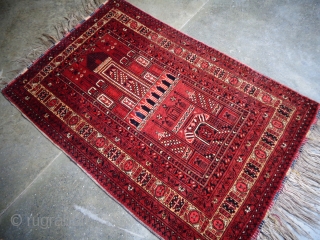 Stunning Old Turkmen prayer rug from north Afghanistan in excellent condition. Size 123x82 cm                   