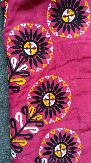 Turkoman pink color chirpy.