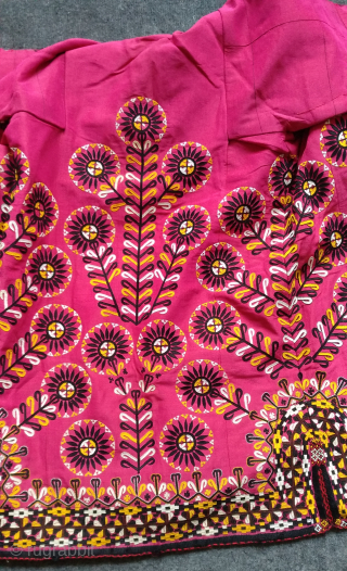 Turkoman pink color chirpy.