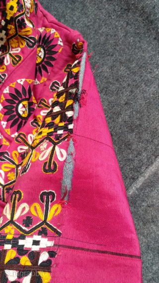 Turkoman pink color chirpy.