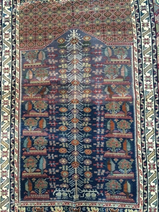 Bandırma Rug.                               