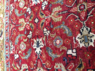 226x152cm
yahyali carpet                               