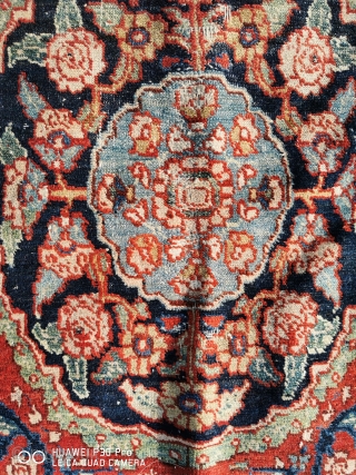 Persiyan Rug                               