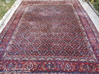 Persian carpet size 350 cm 260 cm.                          
