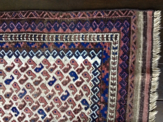 Early Baluch rug, probably from 3rd Qtr 19th Century or earlier. Unusual white field background filled with tiny botehs. Soft thin floppy handle. Low pile throughout and some oxidation of browns. Exhibits  ...