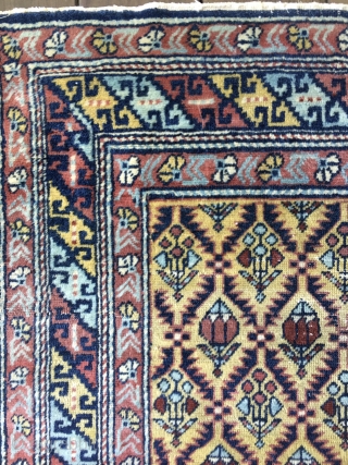 Lovely Antique Shirvan or Dagestan rug featuring blossoms within a lattice design on a lemon-yellow field. All good saturated colors including a light blue and three reds. Unusual main border flanked by  ...