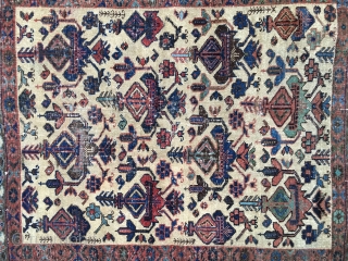 Small squarish Antique Afshar usually called a Masnad or sitting rug for distinguished guests. Camel field with colorful symbols including several blues and greens. All natural colors. Size: 3'5" X 3'10". Good  ...