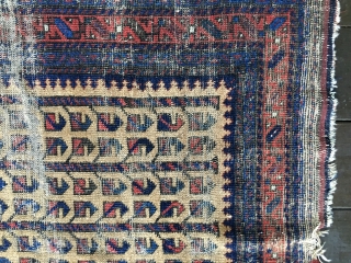 Unique Antique Baluch rug. Early example. Worn condition with some knots showing. All colors derived from natural dyes. Natural camel hair field containing several rows of the tree of life/bird design. Size:  ...