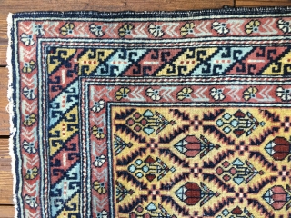 Antique Caucasian Shirvan or Dagestan rug circa 1890 - 1910. Bright lemon-yellow field and borders with an overall lattice design All natural saturated colors with  red, light blues and green. Unusual  ...