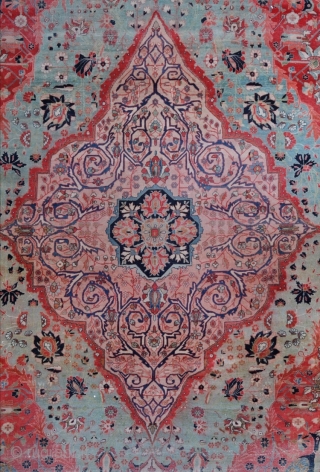 1880 Kashan Mohtasham 
550 x 325                           