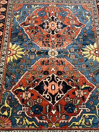 Antique Persian Bakhtiary rug, beautiful drawing. Size: 202x157cm / 6'7''ft by 5'2''ft                     