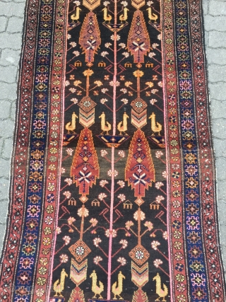 Antique Persian Bakhtiary tree of life rug with birds and animals, age: circa 1920, size: ca. 240x100cm / 7'9''ft x 3'3''ft            