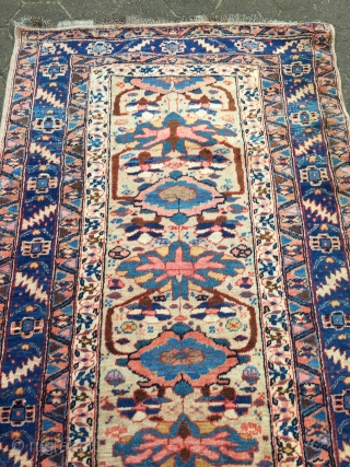 Antique Persian Gerus Bidjar rug on wool foundation, beautiful camel ground color, good condition, age: 19th century. Size: circa 230x111cm / 7'6''ft x 3'7''ft         