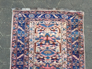 Antique Persian Gerus Bidjar rug on wool foundation, beautiful camel ground color, good condition, age: 19th century. Size: circa 230x111cm / 7'6''ft x 3'7''ft         