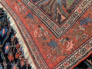 Antique Bidjar Gerrus rug from Westpersia, age: circa 1870. Very nice drawing, beautiful navy blue field color. Wool foundation, good condition. Size: circa 210x135cm / 7ft by 4’5ft  http://www.najib.de   