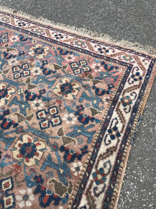 Afshar rug from Southpersia, size: ca. 165x135cm / 5’4ft by 4’4ft http://www.najib.de                     