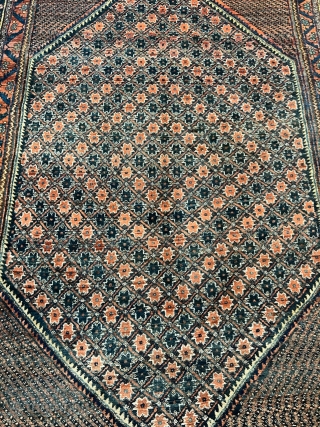 A very nice Afshar rug from Southpersia, size ca. 200x152cm / 6’6ft by 5ft http://www.najib.de                  