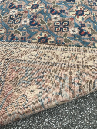 Afshar rug from Southpersia, size: ca. 165x135cm / 5’4ft by 4’4ft http://www.najib.de                     