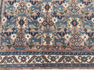 Afshar rug from Southpersia, size: ca. 165x135cm / 5’4ft by 4’4ft http://www.najib.de                     