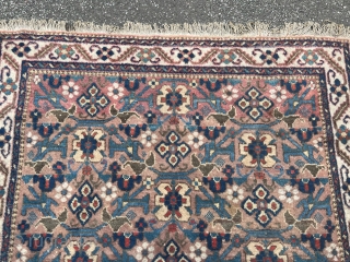 Afshar rug from Southpersia, size: ca. 165x135cm / 5’4ft by 4’4ft http://www.najib.de                     