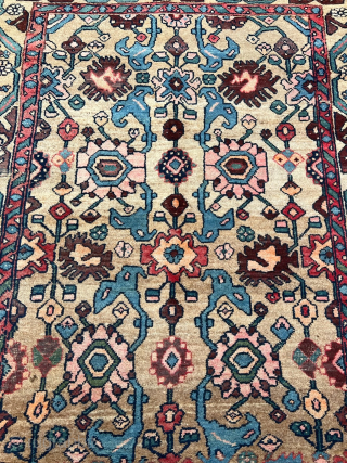 Antique Persian Bidjar rug, beautiful camel field color. Wool foundation, size: 178x118cm / 5’9ft by 3‘9ft http://www.najib.de                