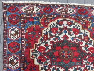 Colorful Persian Bakhtiary rug with lots of flowers and birds, age: circa 1920, size: ca. 205x150cm / 6'7''ft x 5ft             