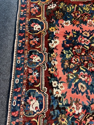 For flower lovers: A fine antique Persian Bakhtiary rug displaying a garden full of roses. This rug was woven in the village of Paradombeh, the design is inspired by French Aubussons. Age:  ...