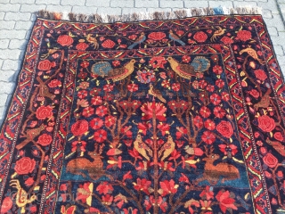 Antique Persian Bakhtiary tribal rug displaying a tree of life design with lot of animals, wool foundation. Age: late 19th century, size: ca. 370x210cm / 12'1''ft x 6'8''ft good condition
   