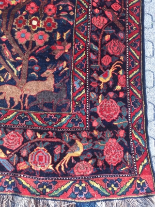 Antique Persian Bakhtiary tribal rug displaying a tree of life design with lot of animals, wool foundation. Age: late 19th century, size: ca. 370x210cm / 12'1''ft x 6'8''ft good condition
   