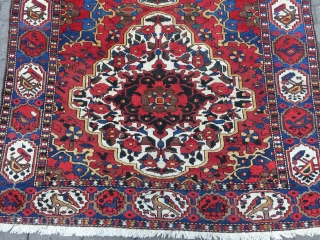 Colorful Persian Bakhtiary rug with lots of flowers and birds, age: circa 1920, size: ca. 205x150cm / 6'7''ft x 5ft             