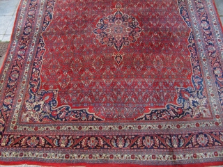 Antique squarish Bidjar carpet , origin : Persia . Decorative carpet , good quality . Age : circa 1920 . Size : ca 360cm x 320cm ( 11´9 x 10´5 )  