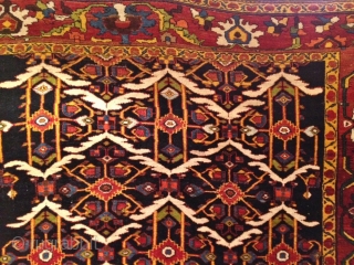 Antique early Bakhtiary long rug on wool foundation, circa 1880. Beautiful design and archaic border, size 405x190cm / 13'3''ft x 6'3''ft  www.najib.de          