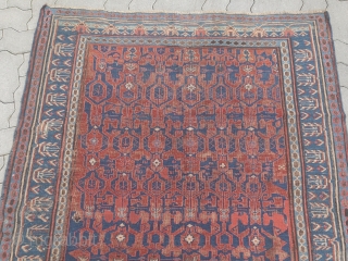 Antique Caucasian Sumakh with rare Konagkend design, sold at Nagel auction in 1984. Now available once again. Size: ca. 150x130cm / 5ft x 4'3''ft         